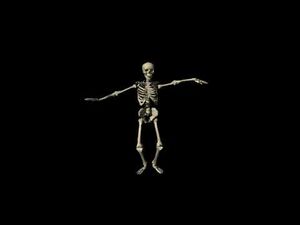Spook.jpg