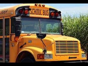 Busreview43.jpeg