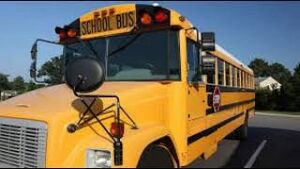 Busreview29.jpg