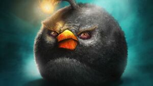Birds.jpeg