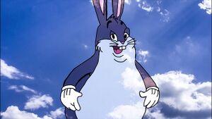 Holychungus.jpeg